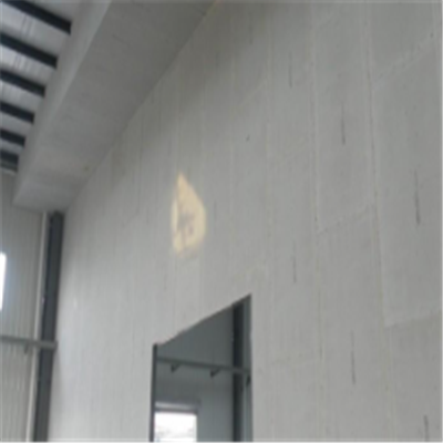 麻章新型建筑材料掺多种工业废渣的ALC|ACC|FPS模块板材轻质隔墙板